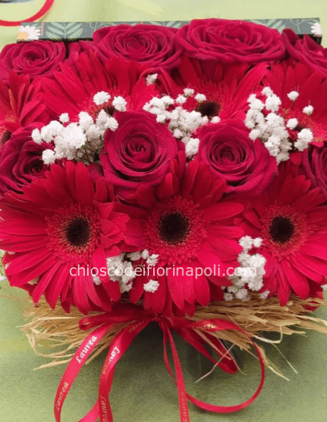 Trionfo Rosso basic