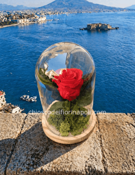 Campana d’Amore 